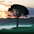 Montgomerie Golf Club Bilder